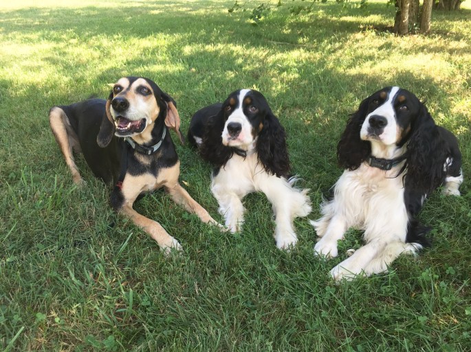 E2863240-B12B-49DB-903D-C882D3C2B6C0