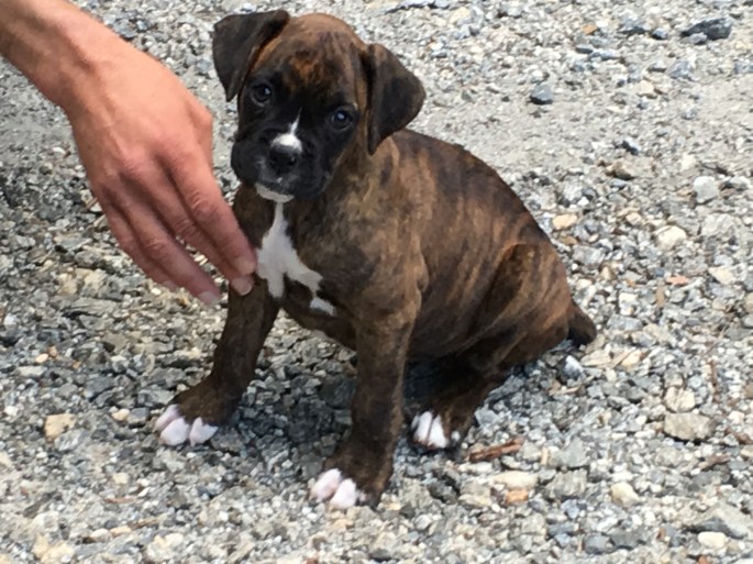 D9730697-4DA9-4BD0-BBF8-550526B30300